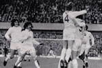 Sunderland players race to congratulate Halom after his opening goal
